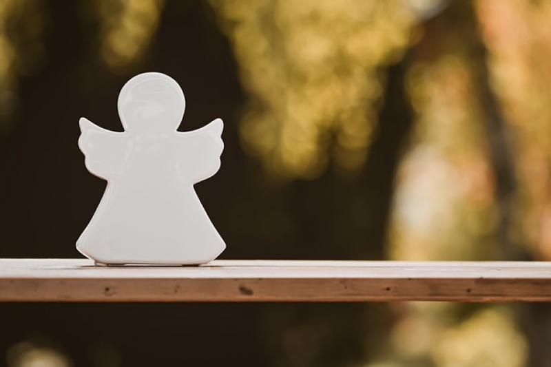 未成年監護人選任及監護人行為限制