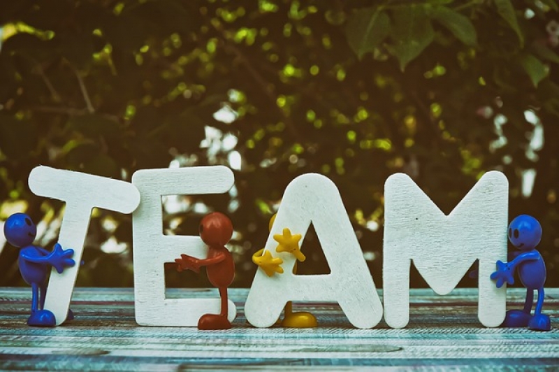 共有物管理法律關係及其爭議